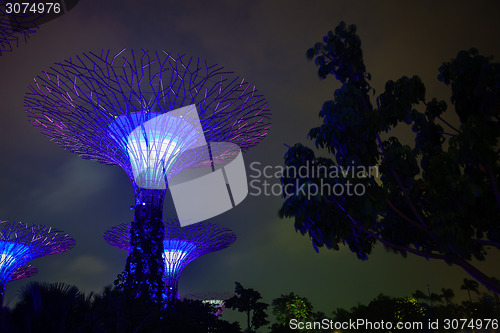 Image of Gardens by the Bay in Singapore at Night