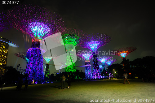 Image of Towers of Gardens by the Bay in Singapore at Night
