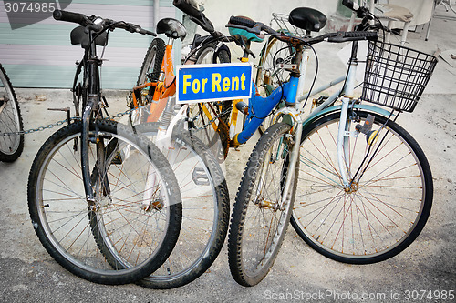 Image of Rental Bicycles on Display in Georgetown, Penang, Malaysia