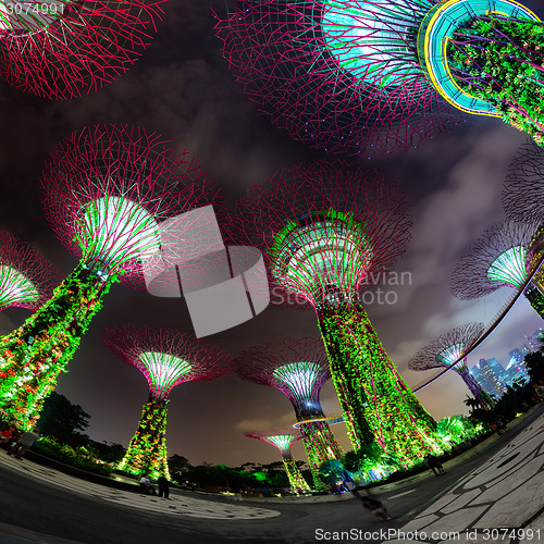 Image of Fisheye Shot of Illuminated Towers at Garden by the Bay in Singa