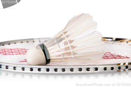 Image of Shuttlecock On Badminton Racket