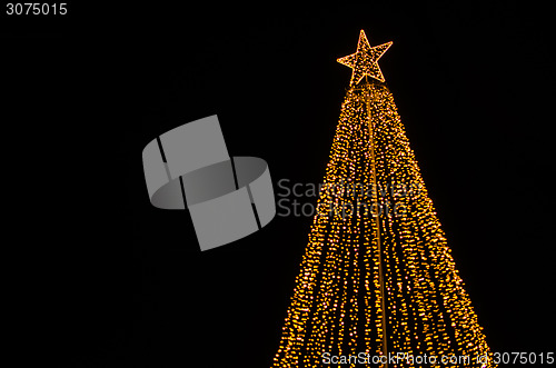 Image of Christmas tree illumination