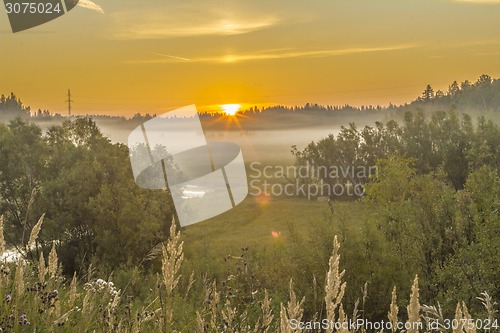 Image of       summer Morning.