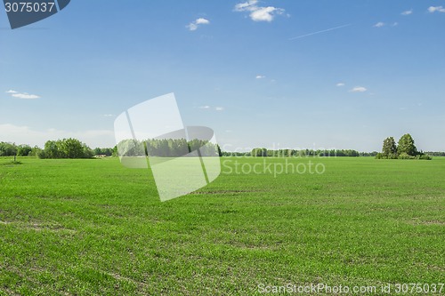 Image of summer landscape