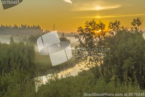 Image of       summer Morning.