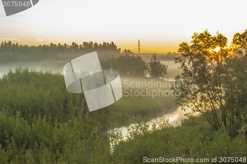 Image of       summer Morning.