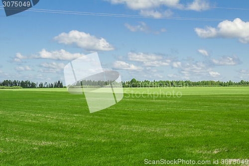 Image of summer landscape