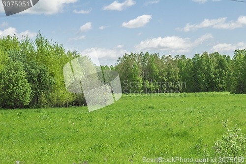 Image of summer landscape