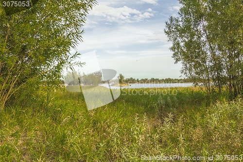 Image of       summer Morning.