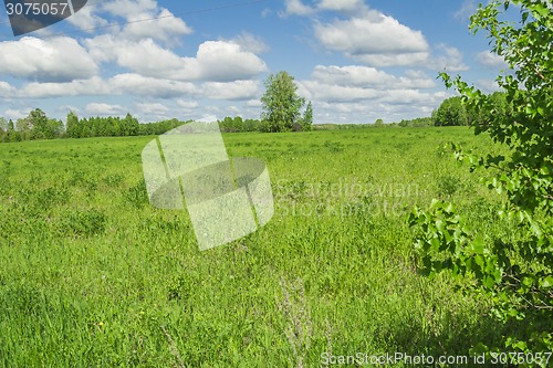 Image of summer landscape