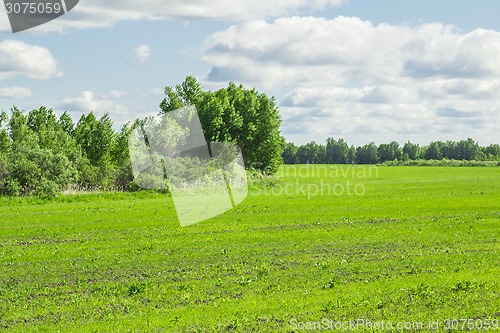 Image of summer landscape