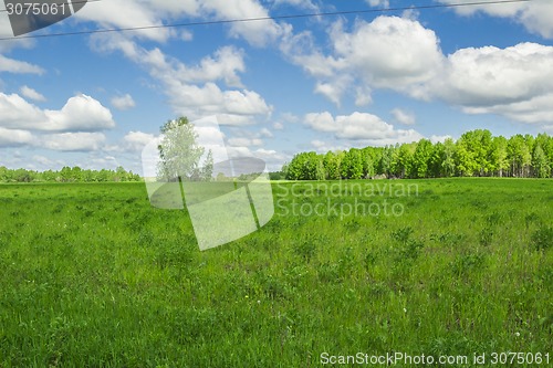 Image of summer landscape