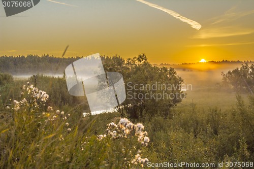 Image of       summer Morning.