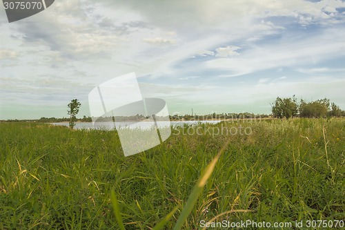 Image of       summer Morning.