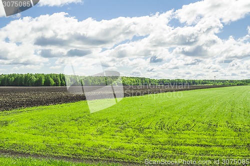 Image of summer landscape