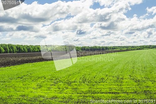 Image of summer landscape