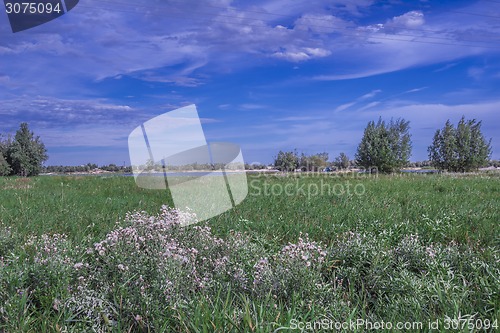 Image of       summer Morning.