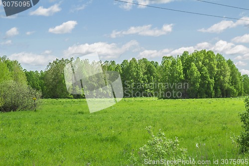 Image of summer landscape