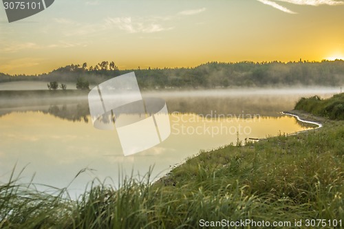 Image of       summer Morning.