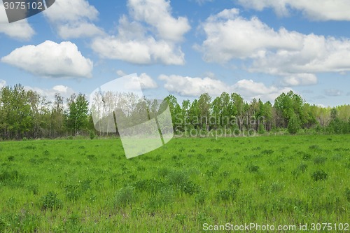 Image of summer landscape