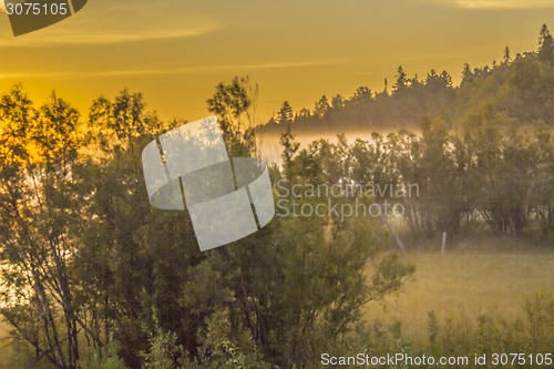 Image of       summer Morning.