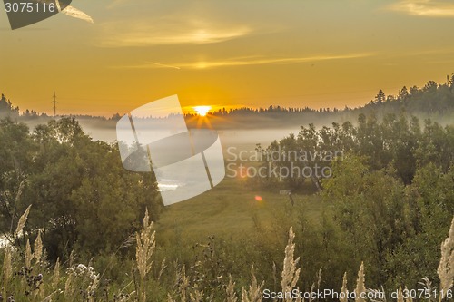 Image of       summer Morning.