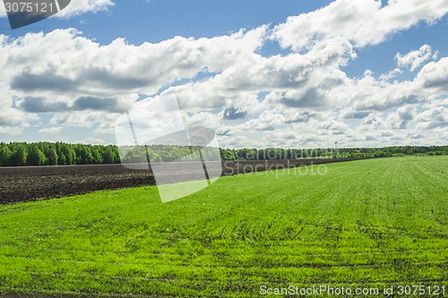 Image of summer landscape