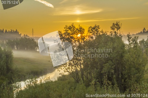 Image of       summer Morning.