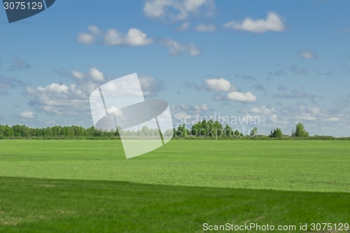 Image of summer landscape