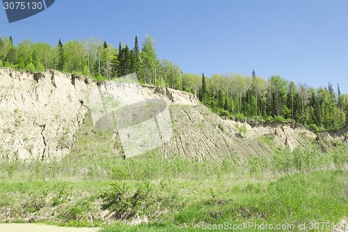 Image of summer landscape