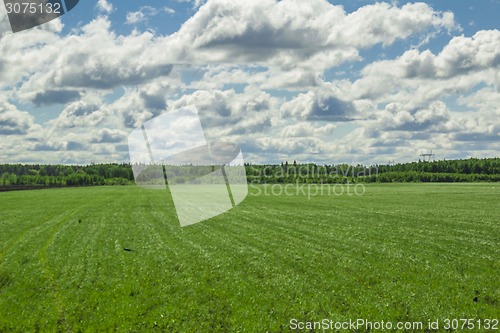 Image of summer landscape