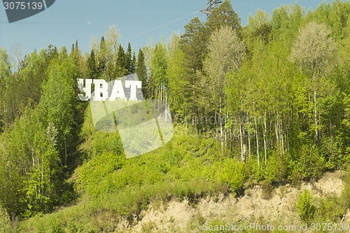 Image of summer landscape