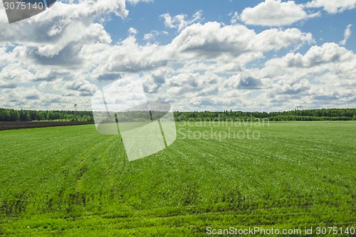 Image of summer landscape