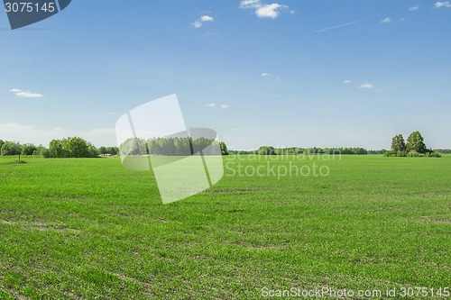 Image of summer landscape