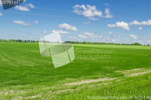 Image of summer landscape