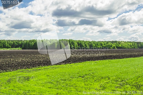 Image of summer landscape