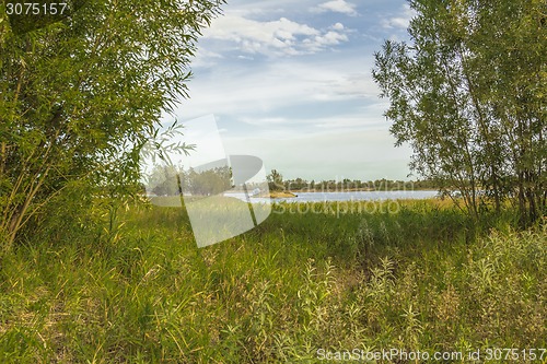 Image of       summer Morning.