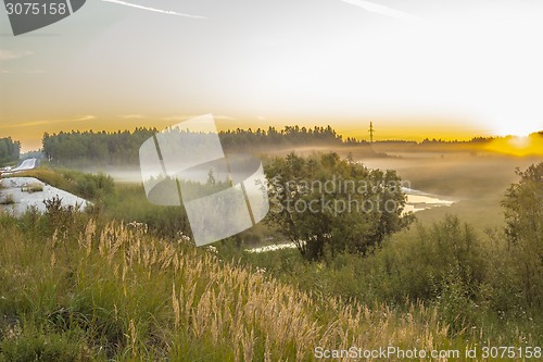 Image of       summer Morning.
