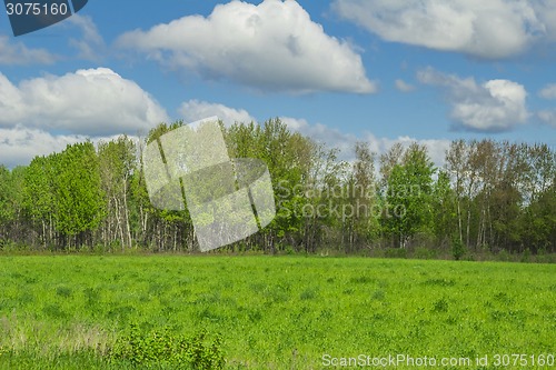 Image of summer landscape
