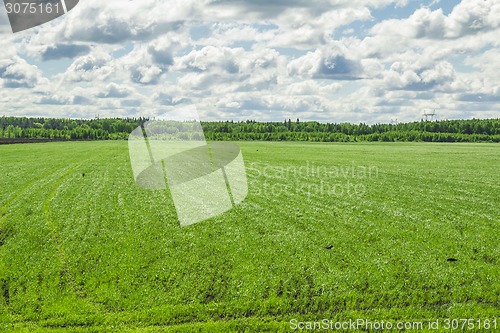 Image of summer landscape