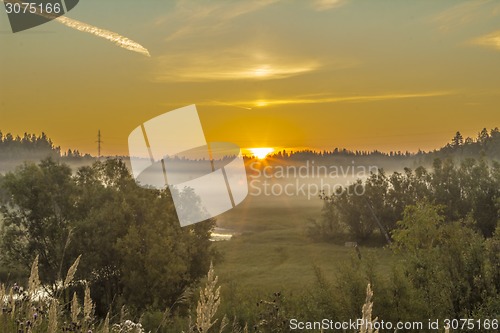 Image of       summer Morning.