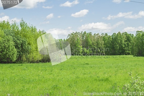 Image of summer landscape