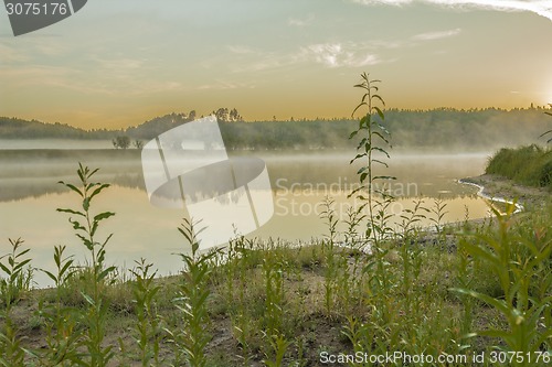 Image of       summer Morning.