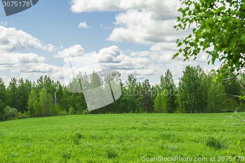 Image of summer landscape