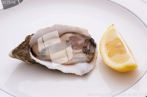 Image of Oyster And Lemon