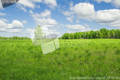 Image of summer landscape