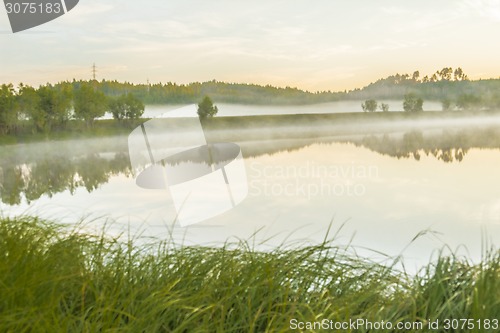 Image of       summer Morning.