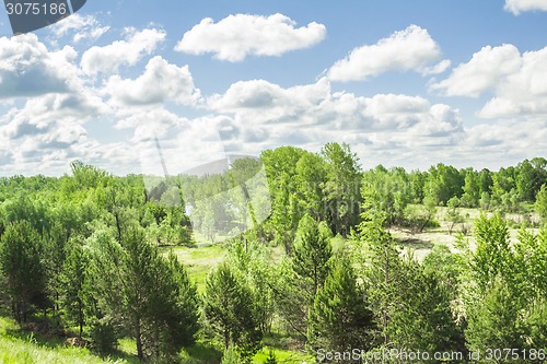 Image of summer landscape