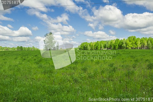 Image of summer landscape