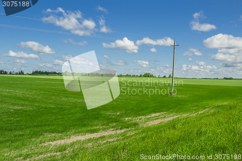 Image of summer landscape